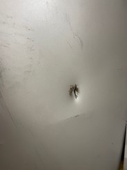 Глушитель основной MAN  81151010346 Незначительные царапины/вмятина