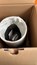 Поршневая группа Volvo/RVI Magnum DXI13/D13A 89-123200-03/8975553STD