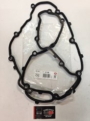 Прокладка крышки клапанов DAF MX13 Euro-6 246.160