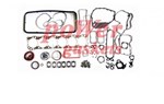 Прокладки комплект Iveco CURSOR/EUROSTAR/Stralis-10.3 299 6291
