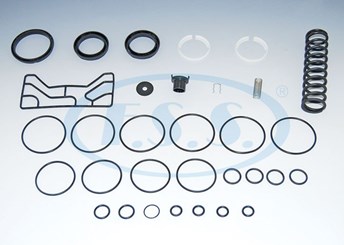 РМК клапана растормаживания ,Novtrak,Tonar,Bezema,KAMAZ,MAZ,Bogdan 32 деталей 9710029000