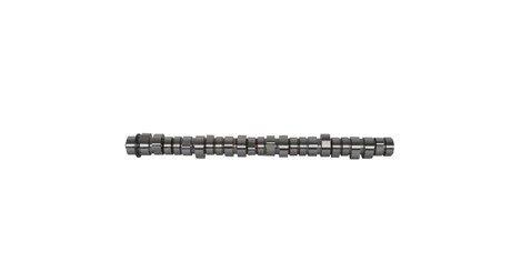 Вал распределительный Renault/Volvo Dxi11 Euro4/5 7421189194/22584592 /EST57012
