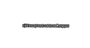 Вал распределительный Renault/Volvo Dxi11 Euro4/5 7421189194/22584592 /EST57012